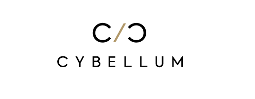Cybellum launches Cyber Digital Twins platform to protect vehicles from cyber threats