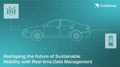 Reshaping the Future of Sustainable Mobility with Real-time Data Management   