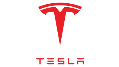 Tesla sues Indian battery maker over trademark