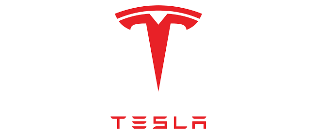 Tesla sues Indian battery maker over trademark